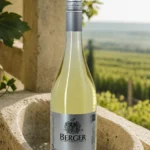 frizzante-terrace